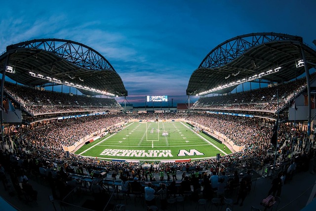 了球隊的投 了球隊的投