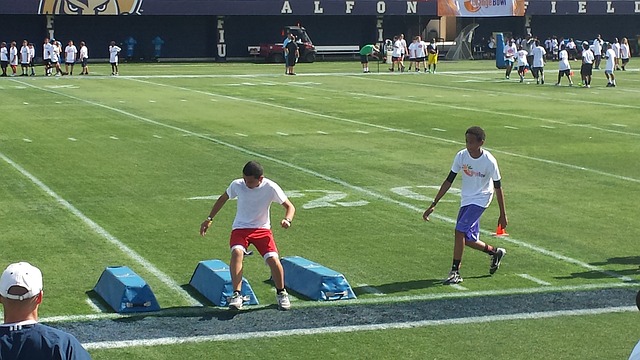 体育声誉的 体育声誉的