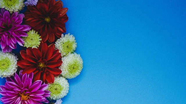 队的进攻 队的进攻