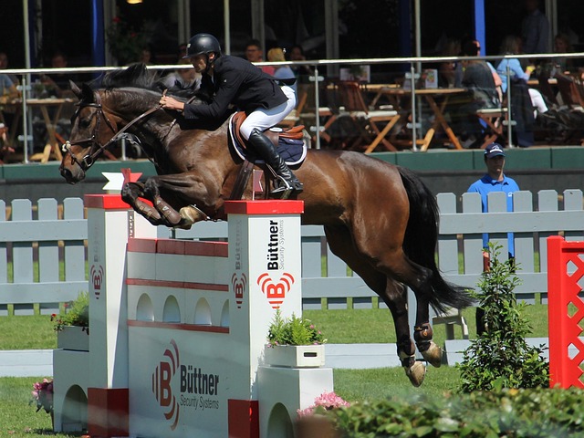 稳固的基础 稳固的基础