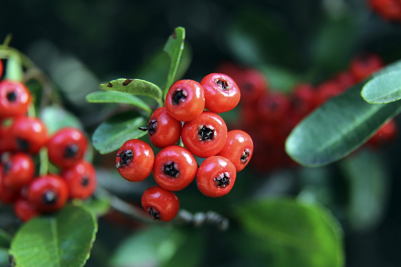 该队的几名 该队的几名