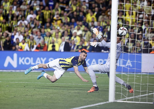 自我实现 自我实现