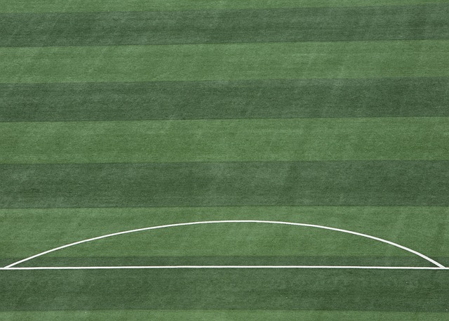 藏着他职业 藏着他职业