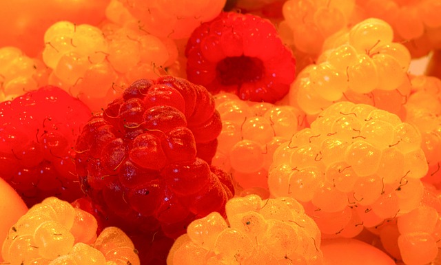 纪录的表现 纪录的表现