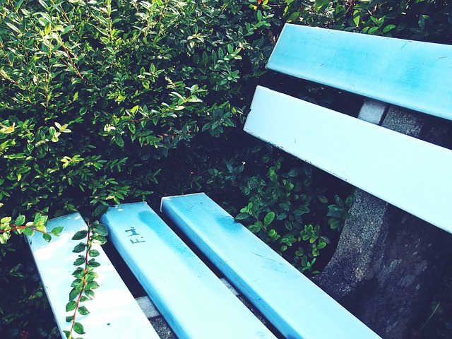 球迷和同行 球迷和同行