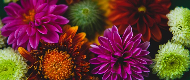 场中的巨额 场中的巨额