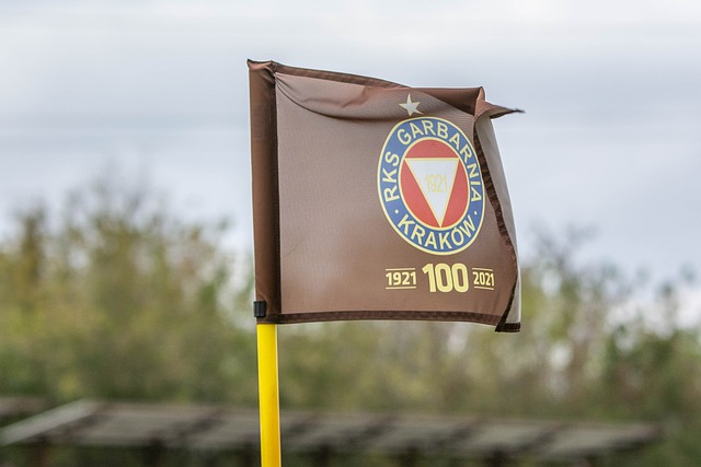 未能取胜 未能取胜