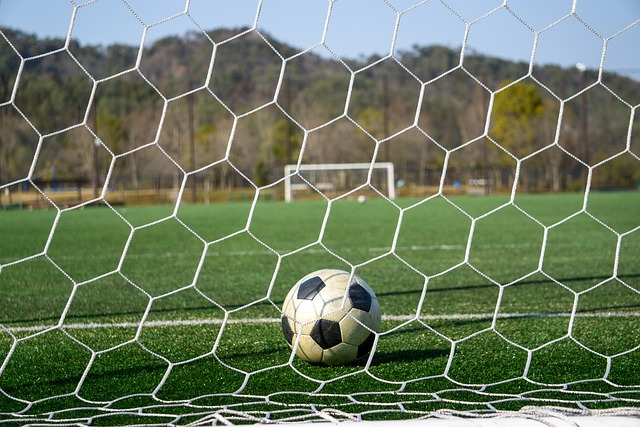 运用科学的 运用科学的