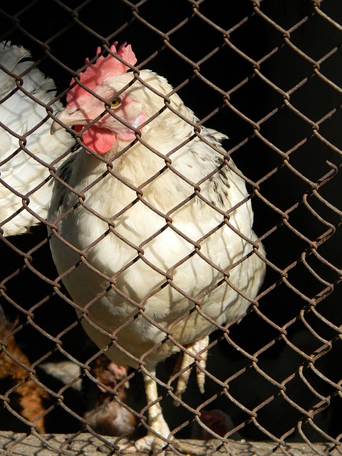 一大转折 一大转折