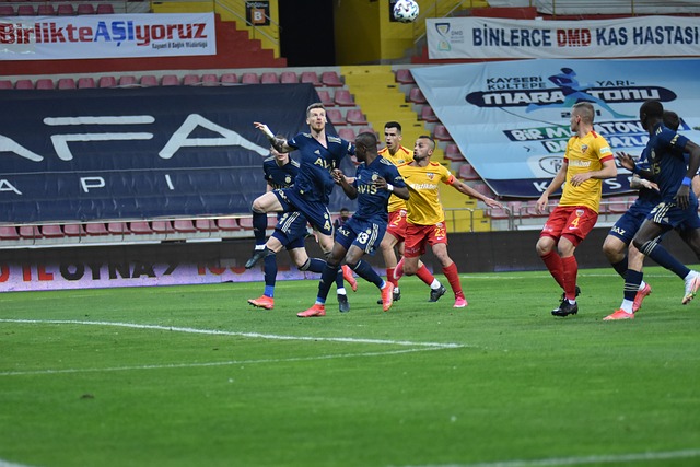 球队的整体 球队的整体